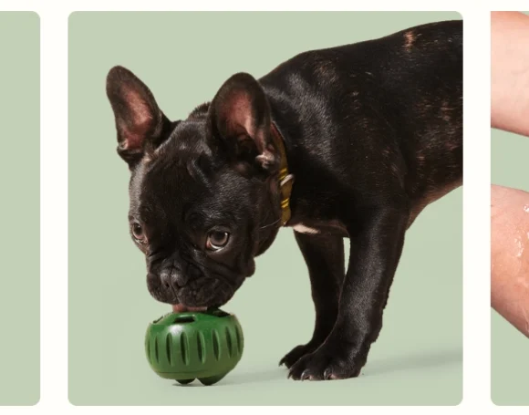 Pupsicle Treat holders are a great way to treat your pup. Easy, clean & loved by dogs.