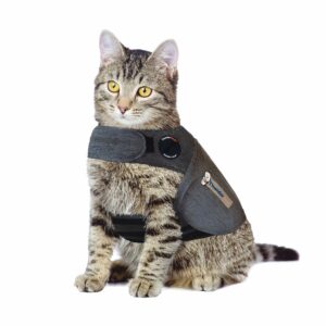 ThunderShirt for cats