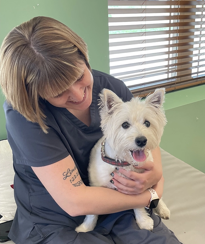 Cuddles are standard at TLC Pet Nursing Hotel.