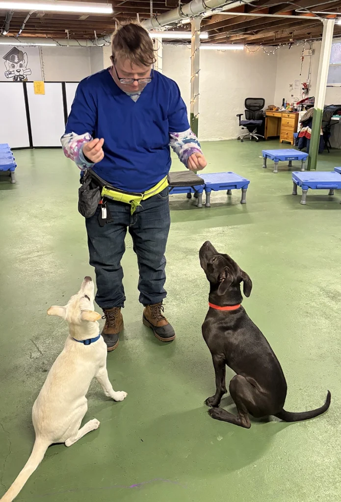 Ty, TLC Pet Nursing Hotel's Enrichment & Training Director, will put your pup through the paces to earn their treats!