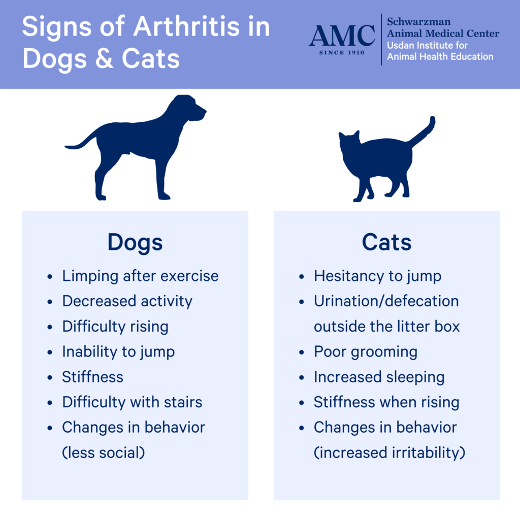 Inforgraphic from: Schwarzman Animal Medical Center