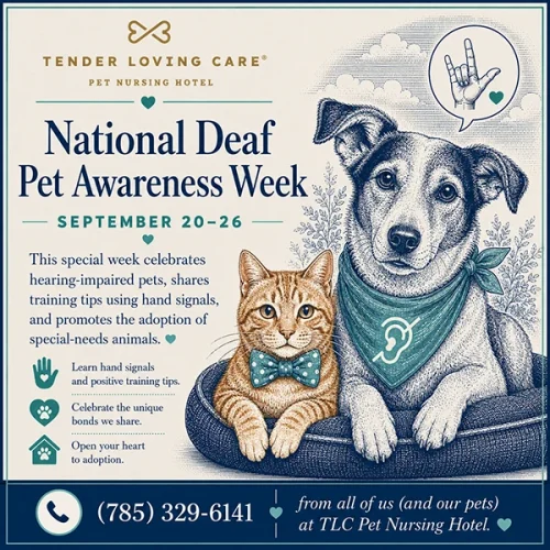 Tender Loving Care Pet Nursing Hotel recognizes National Deaf Pet Awareness Week to help support pet parents with deaf pets.